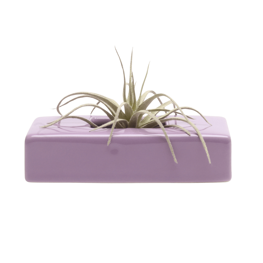 Swayzak Ceramic Dish For Ikebana Kenzans - Chive US Wholesale