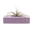 Swayzak Ceramic Dish For Ikebana Kenzans - Chive US Wholesale