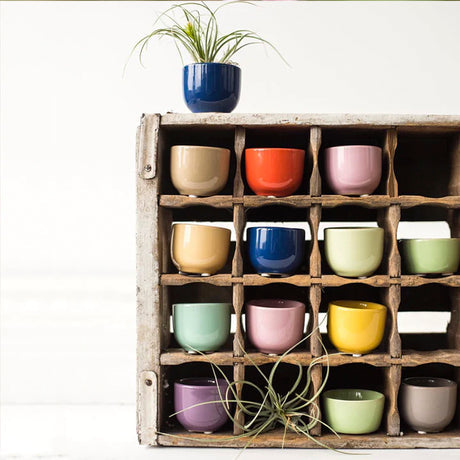 Baden Pot, Elevated Wholesale Decor