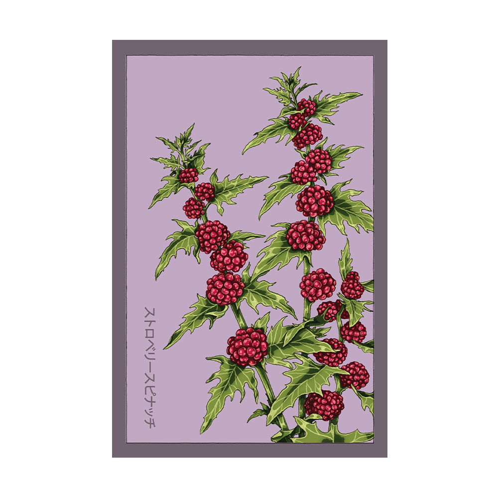 Strawberry Spinach Vegetable Seeds Packet - Chive US Wholesale