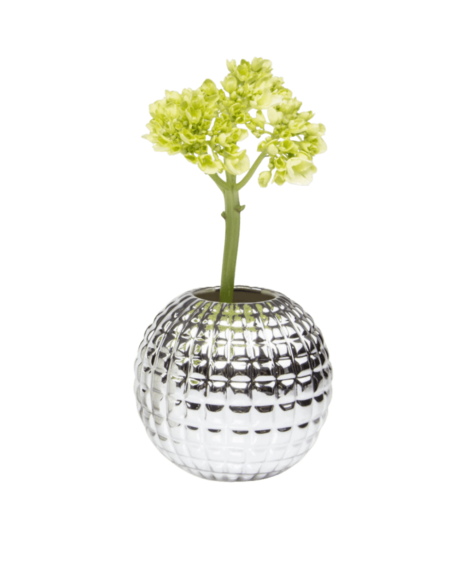Tac Porcelain Flower Vase Kit - Chive US Wholesale