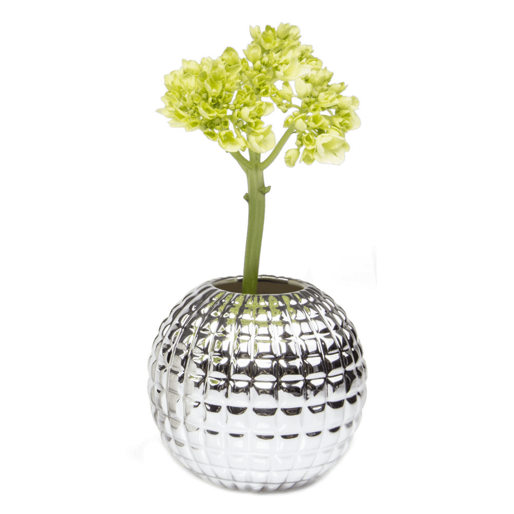 Tac Porcelain Flower Vase - Chive US Wholesale