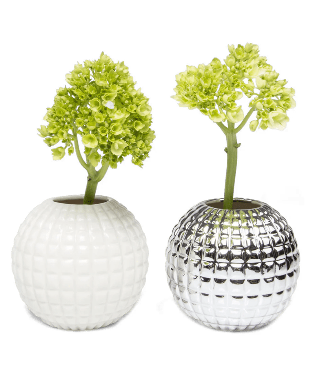 Tac Porcelain Flower Vase - Chive Ceramics Studio - Vases - Chive US