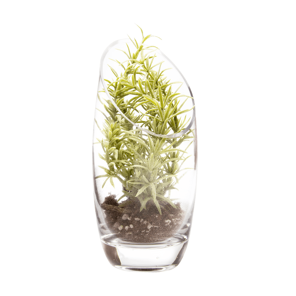 Terrarium Bowl Glass Succulent Garden - Chive US Wholesale