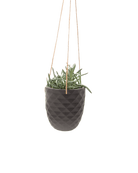 Thimble Porcelain Modern Hanging Planter Kit - Chive US Wholesale