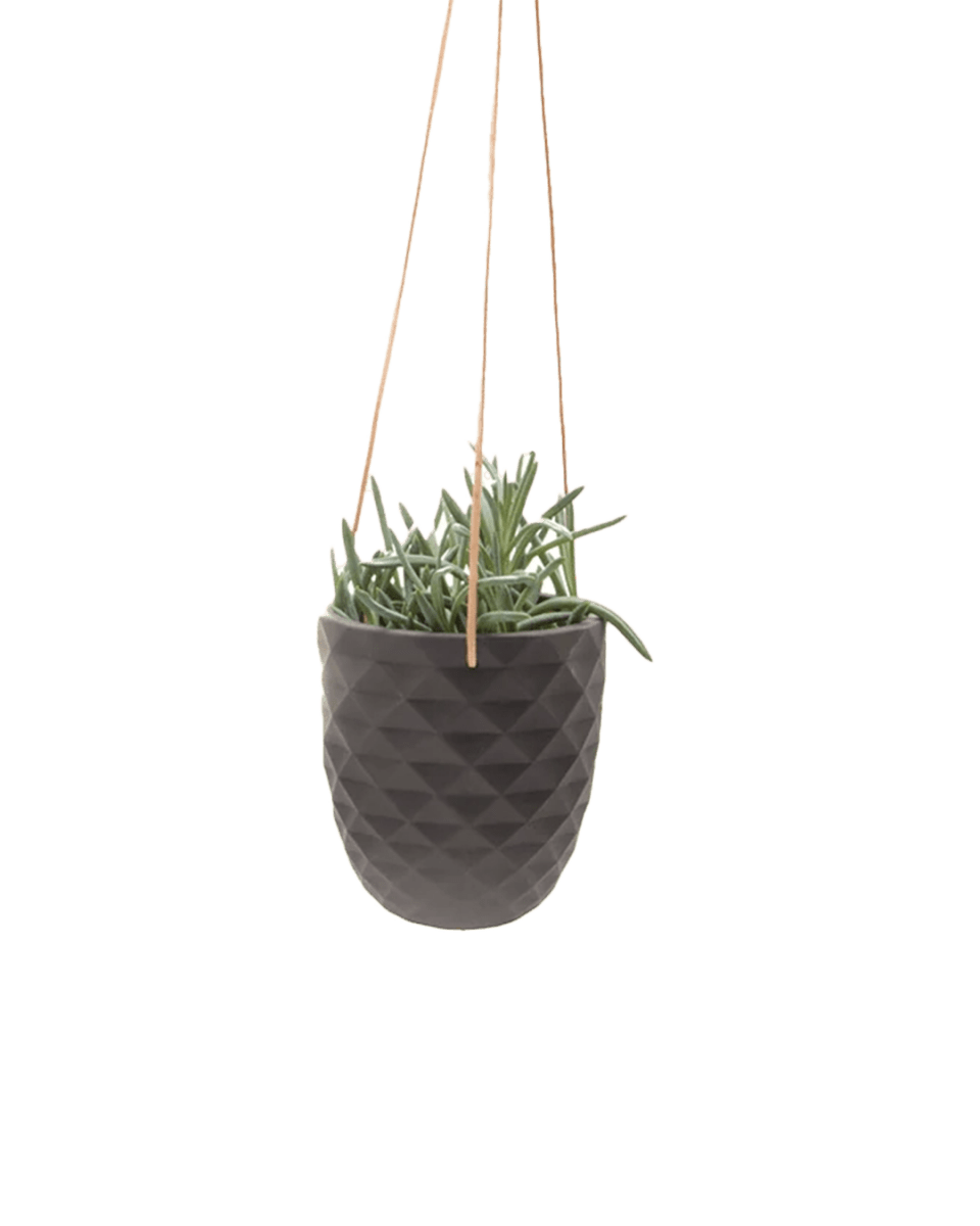 Thimble Porcelain Modern Hanging Planter Kit - Chive US Wholesale