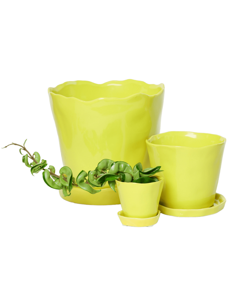 Tika Ceramic Pot & Saucer Set With Drainage - Chive US Wholesale