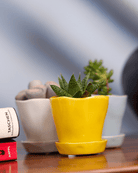 Tika Pot & Saucer | 3 inch - Chive US Wholesale