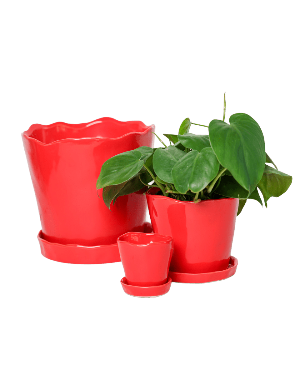 Tika Ceramic Pot & Saucer Set With Drainage - Chive US Wholesale