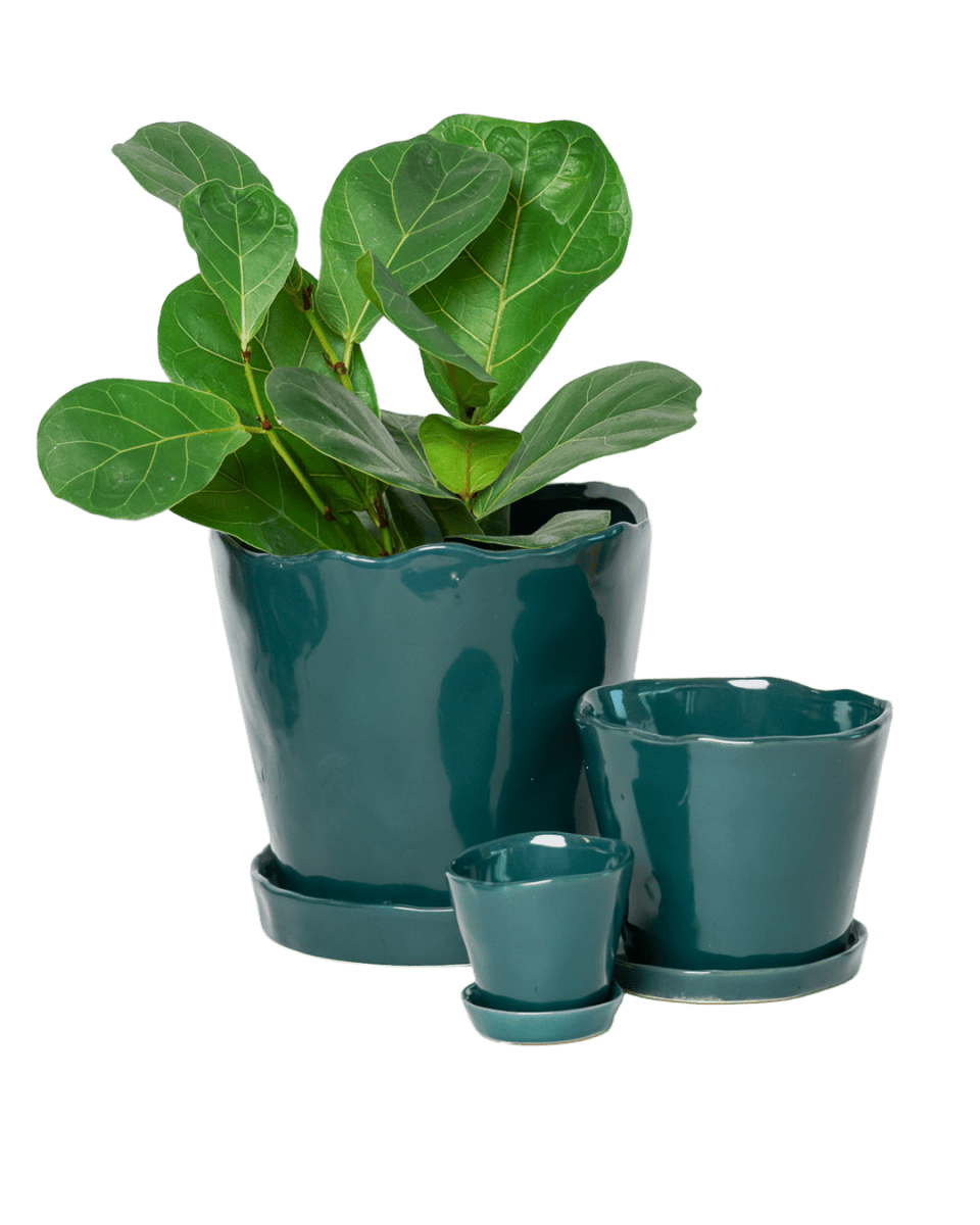 Tika Ceramic Pot & Saucer Set With Drainage - Chive US Wholesale