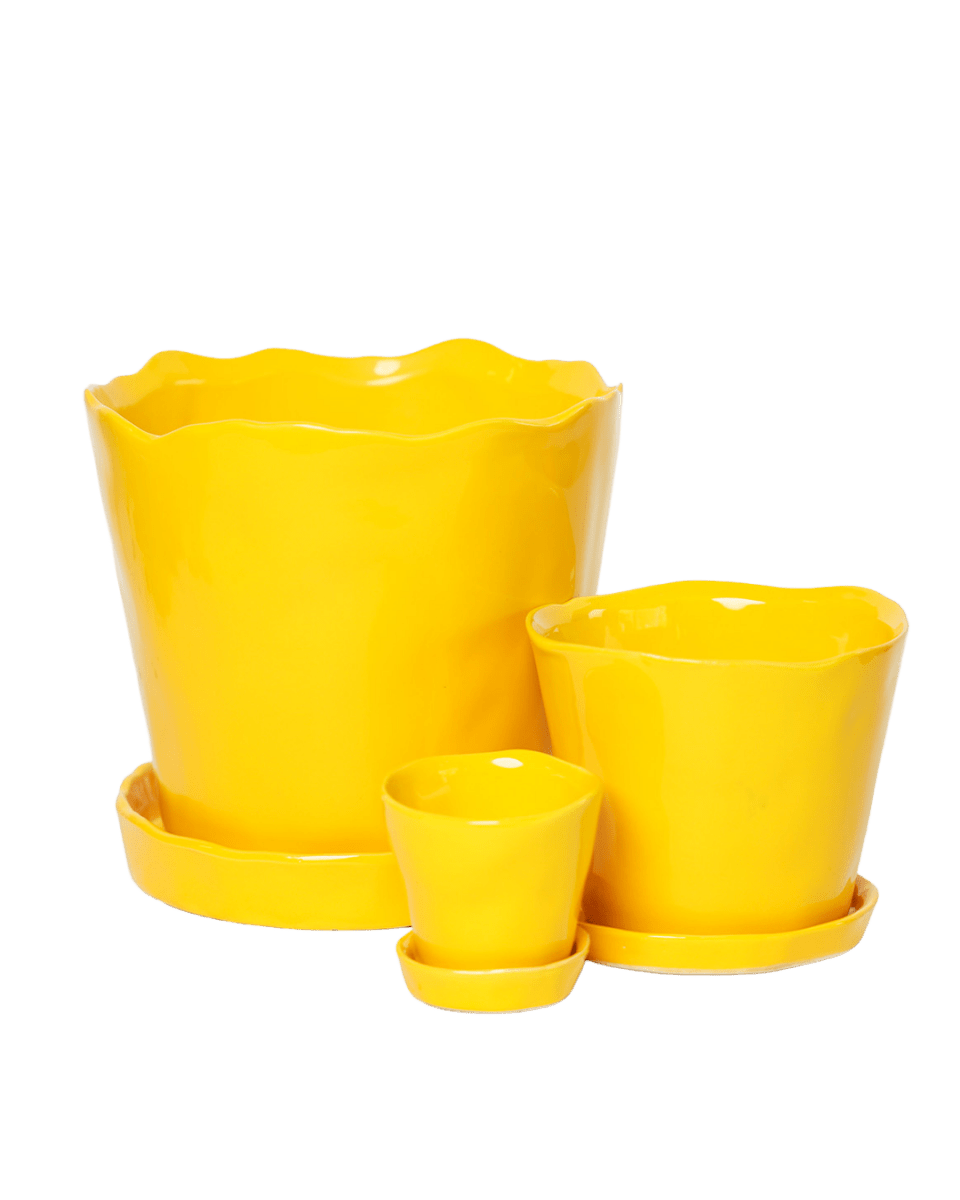 Tika Ceramic Pot & Saucer Set With Drainage - Chive US Wholesale