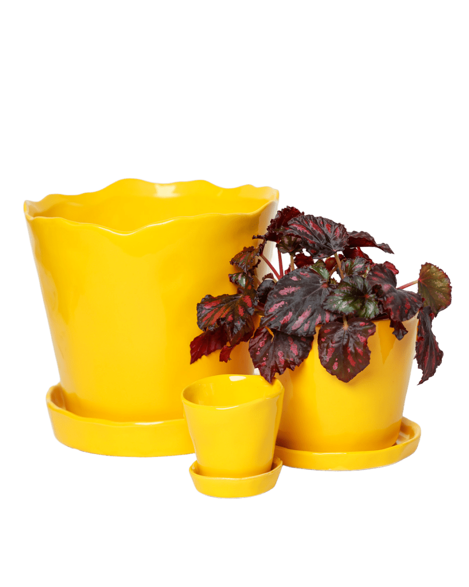 Tika Ceramic Pot & Saucer Set With Drainage - Chive US Wholesale