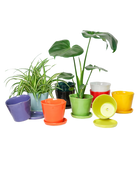 Tika Pot & Saucer | 5 inch - Chive US Wholesale