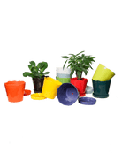 Ace Kit - Tika Pot & Saucer - Chive US Wholesale
