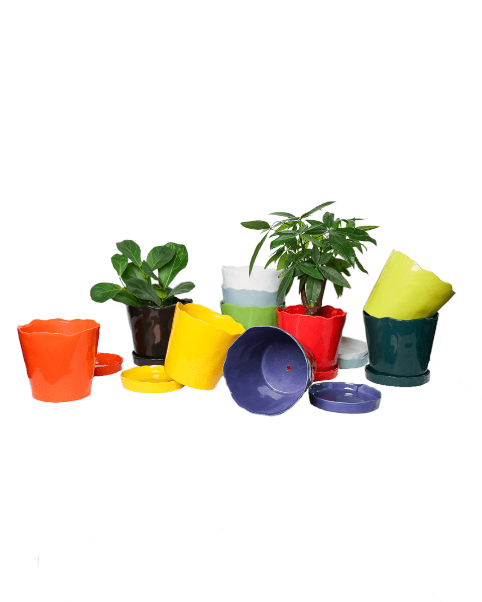 Ace Kit - Tika Pot & Saucer - Chive US Wholesale