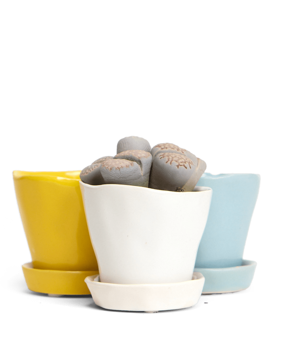 Tika Ceramic Pot & Saucer Set With Drainage - Chive US Wholesale