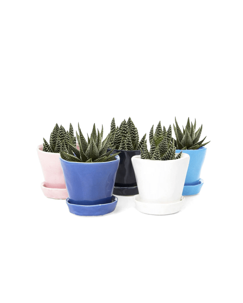 Tika Ceramic Pot & Saucer With Drainage Kits - Chive US Wholesale