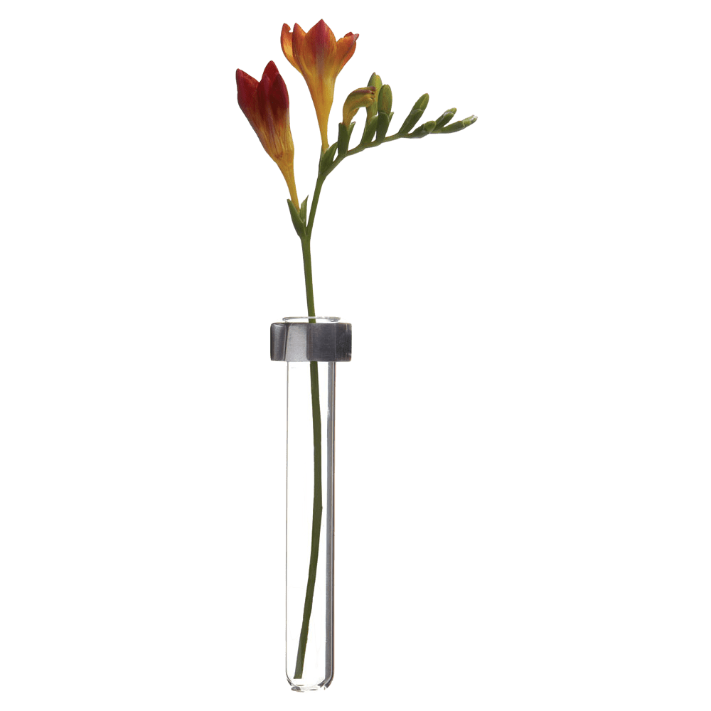 Alu Magnetic Flower Test Tube Holder - Chive US Wholesale