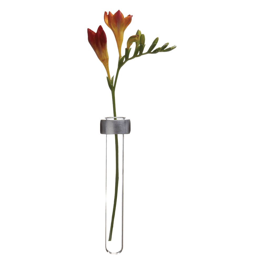 Alu Magnetic Flower Test Tube Holder - Chive US Wholesale