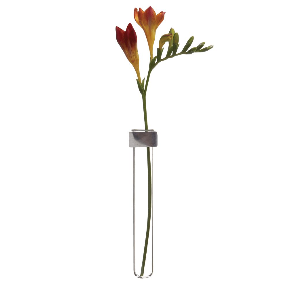 Alu Magnetic Flower Test Tube Holder - Chive US Wholesale