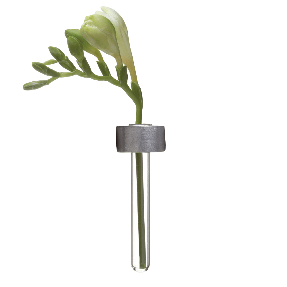 Alu Magnetic Flower Test Tube Holder - Chive US Wholesale