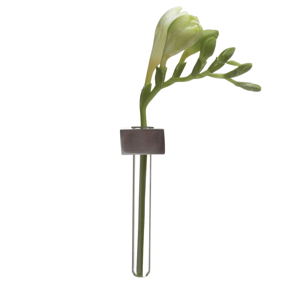 Alu Magnetic Flower Test Tube Holder - Chive US Wholesale