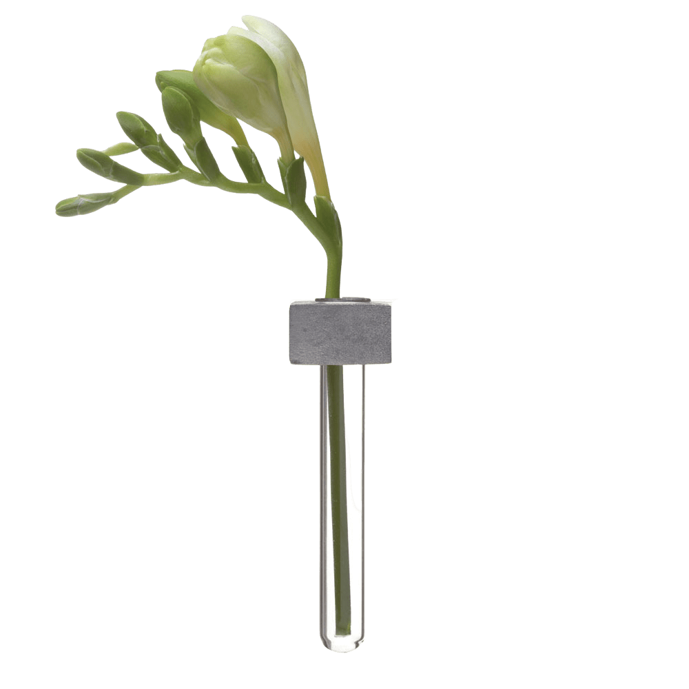 Alu Magnetic Flower Test Tube Holder - Chive US Wholesale