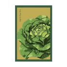 Tom Thumb Lettuce Vegetable Seeds Packet - Chive US Wholesale