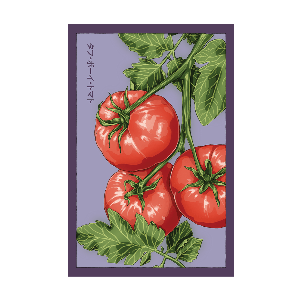 Tough Boy Tomato Vegetable Seeds Packet - Chive US Wholesale