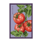 Tough Boy Tomato Vegetable Seeds Packet - Chive US Wholesale