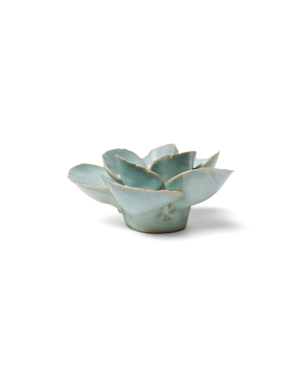 EG19 Milk Teal Poppy - Chive US Wholesale