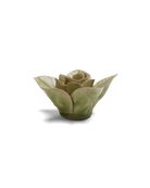 EG18 Peridot Green Maiden Lotus - Chive US Wholesale