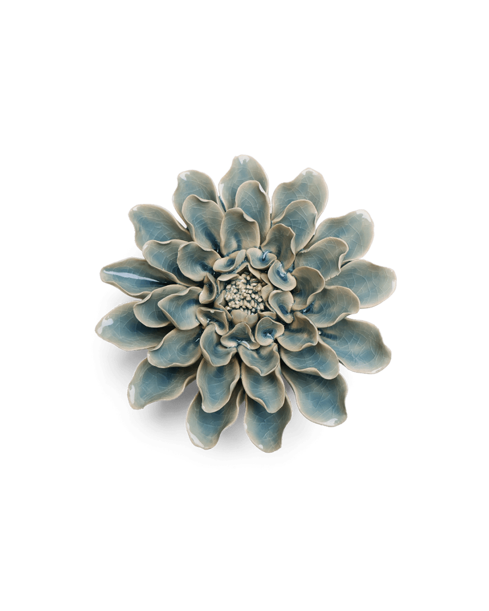 EG17 Powder Blue Aphrodite Dahlia - Chive US Wholesale