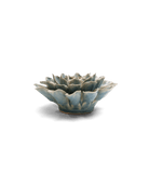 EG17 Powder Blue Aphrodite Dahlia - Chive US Wholesale