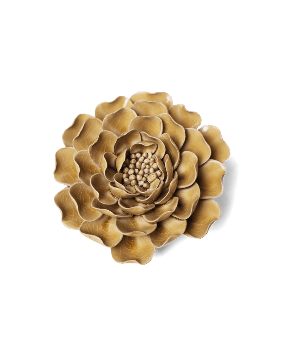 EG16 Caramel Charm Peony - Chive US Wholesale