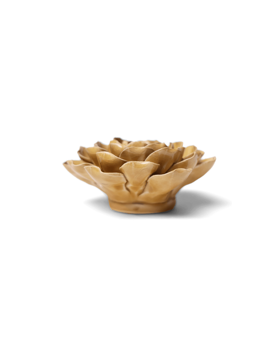 EG16 Caramel Charm Peony - Chive US Wholesale