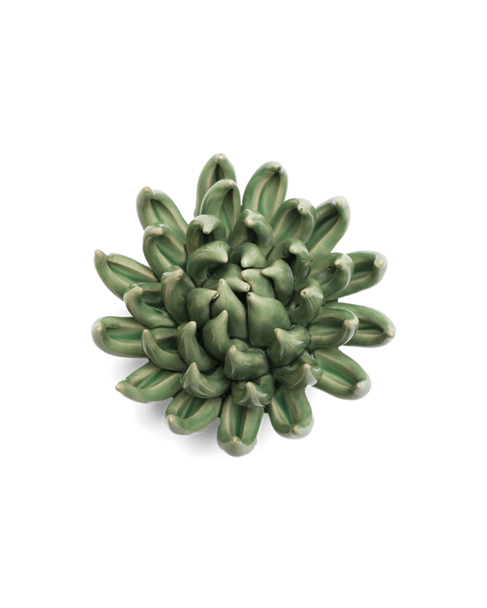 EG14 Jade Green Succulent - Chive US Wholesale
