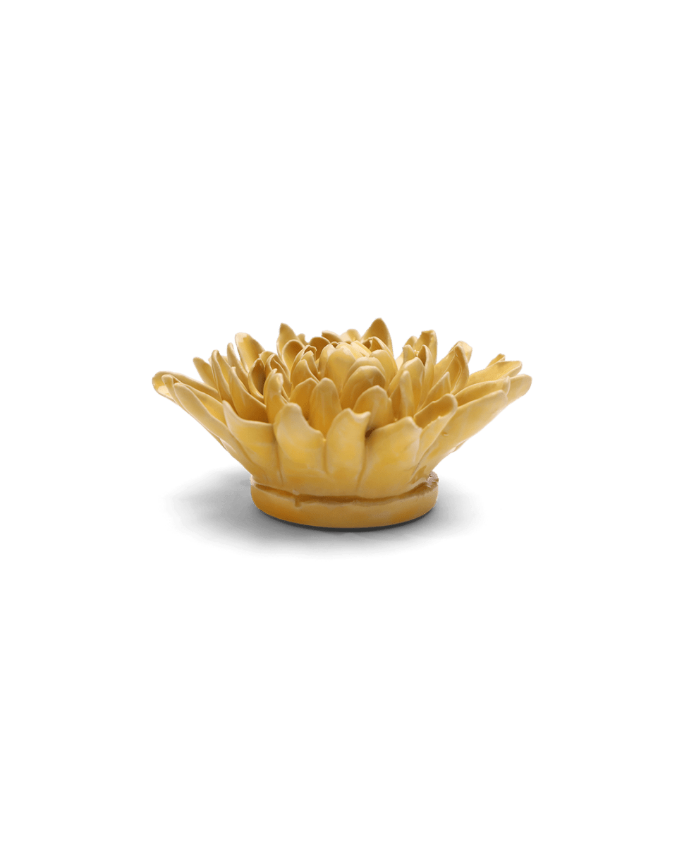 EG13 Buttercup Yellow Chrysanthemum - Chive US Wholesale