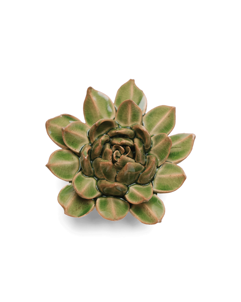 EG12 Avocado Green Firecracker Succulent - Chive US Wholesale