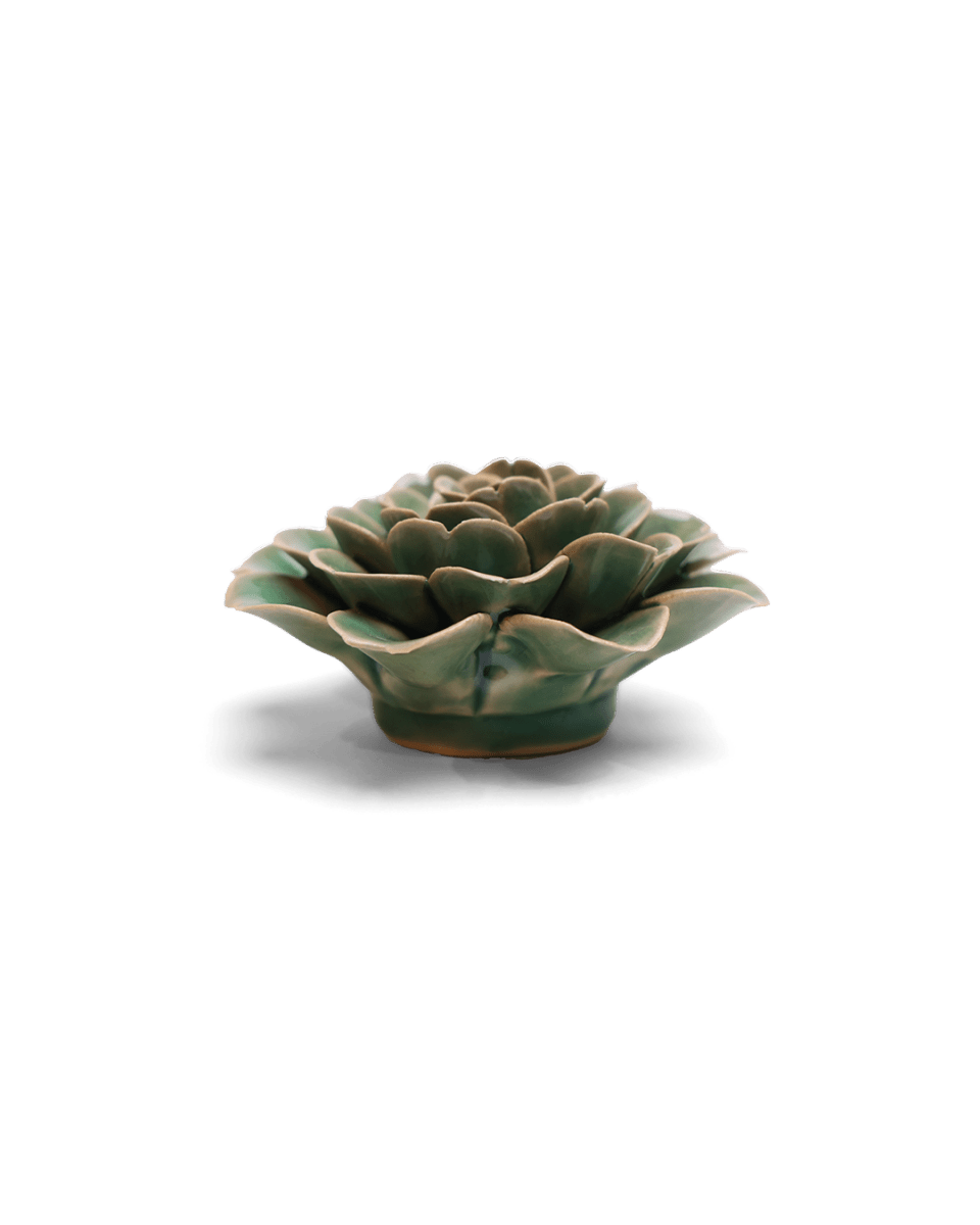 EG11 Jungle Green Tea Rose - Chive US Wholesale