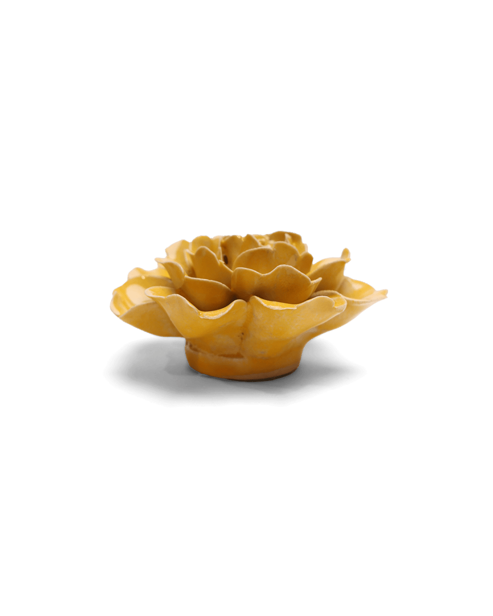 EG07 Burnt Yellow Rose - Chive US Wholesale