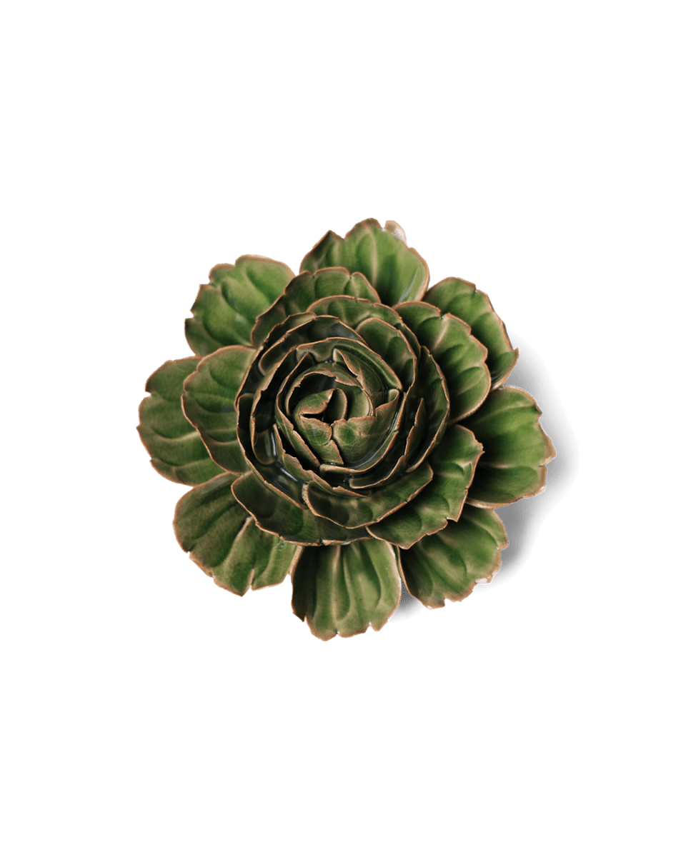 EG05 Avocado Green Rozella Peony - Chive US Wholesale