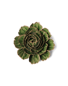 EG05 Avocado Green Rozella Peony - Chive US Wholesale