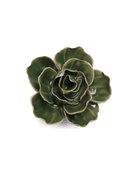 EG03 Fir Green Butterfly Ranunculus - Chive US Wholesale