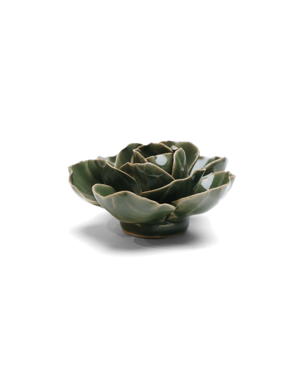 EG03 Fir Green Butterfly Ranunculus - Chive US Wholesale