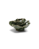 EG03 Fir Green Butterfly Ranunculus - Chive US Wholesale