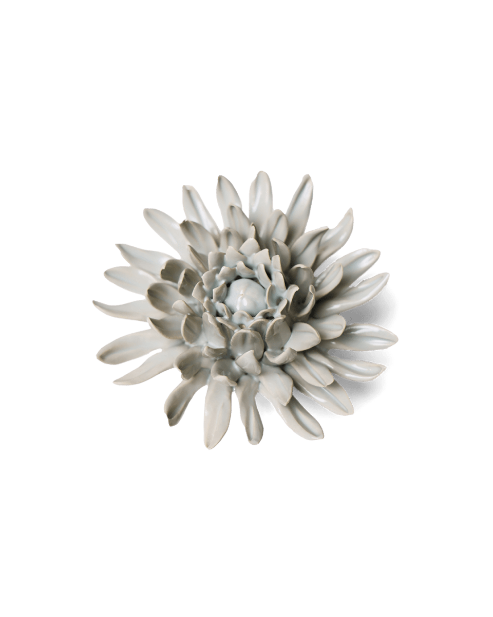 EG02 Panache Green Spider Mum - Chive US Wholesale