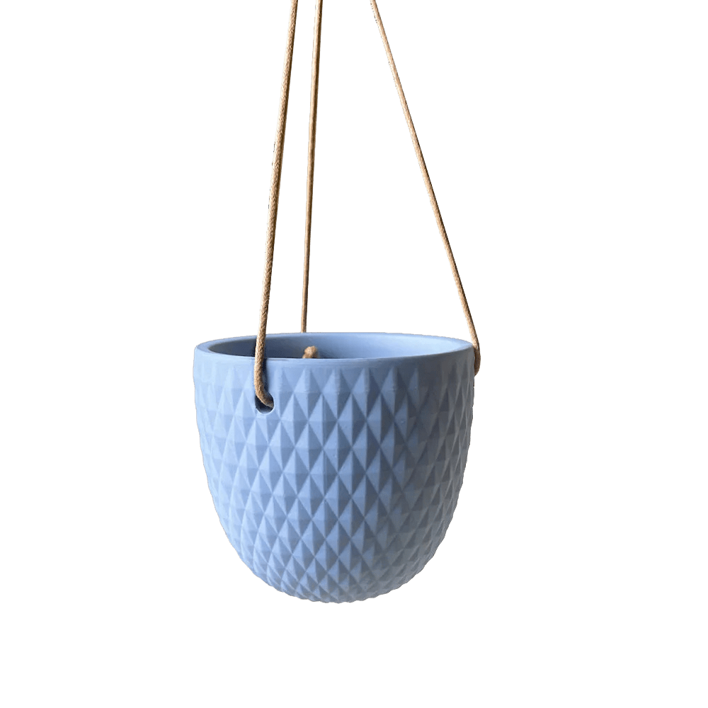 Virago Ceramic Modern Hanging Planter - Chive US Wholesale