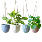 Virago Ceramic Modern Hanging Planter - Chive US Wholesale