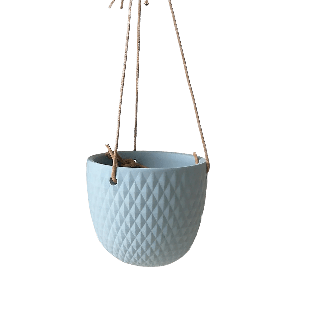 Virago Ceramic Modern Hanging Planter - Chive US Wholesale